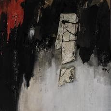 Hon Chi-Fun 韓志勳