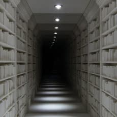 Guillaume Lachapelle