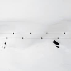 Stephan Zirwes