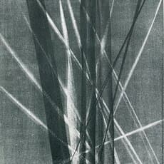 Hans Hartung, Hans Arp (1967) by Hans Arp