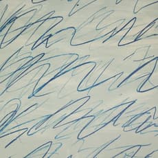 Cy Twombly