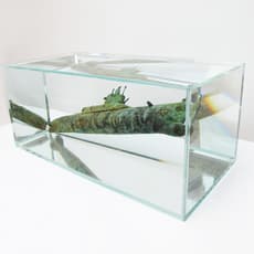 Wagner Malta Tavares