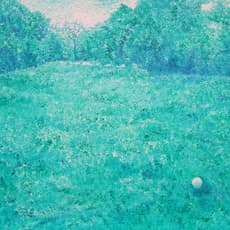 Han Qing