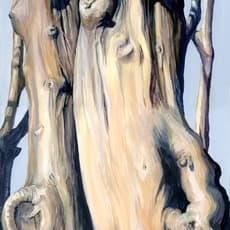 Gillian Bradshaw-Smith