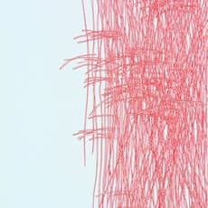 Bikash Chandra Senapati