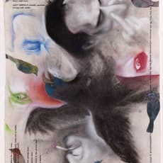 Terry Allen