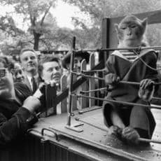 Robert Doisneau