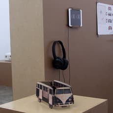 Virginia de Medeiros