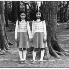 Shigeo Gocho 牛腸 茂雄