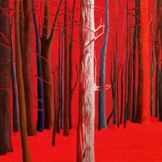 Karine Boulanger