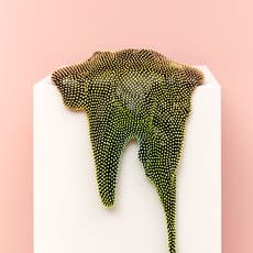 Dan Lam
