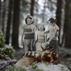 Angeline Martha Maria Gobbens