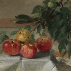 Thomas Hicks