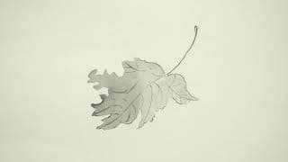 RAM Trailer|Evelyn Taocheng Wang: An equivocal Contrast