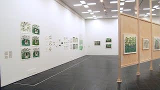Abel Rodríguez: Exhibition Views