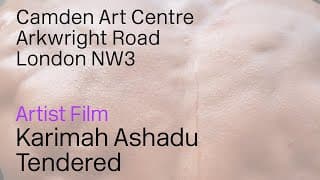 Karimah Ashadu on her exhibition 'Tendered' at Camden Art Centre
