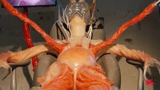 Biennale Arte 2024 - Agnes Questionmark