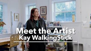 Meet the Artist: Kay WalkingStick