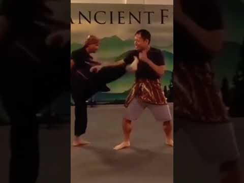 Pencak silat bela diri Martial arts technique